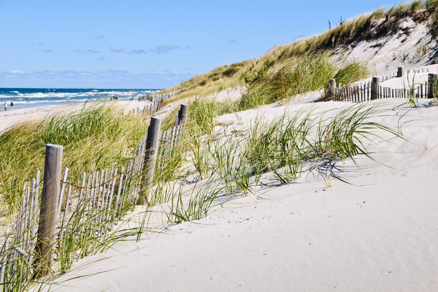 A beach in Cape Cod Massachusetts