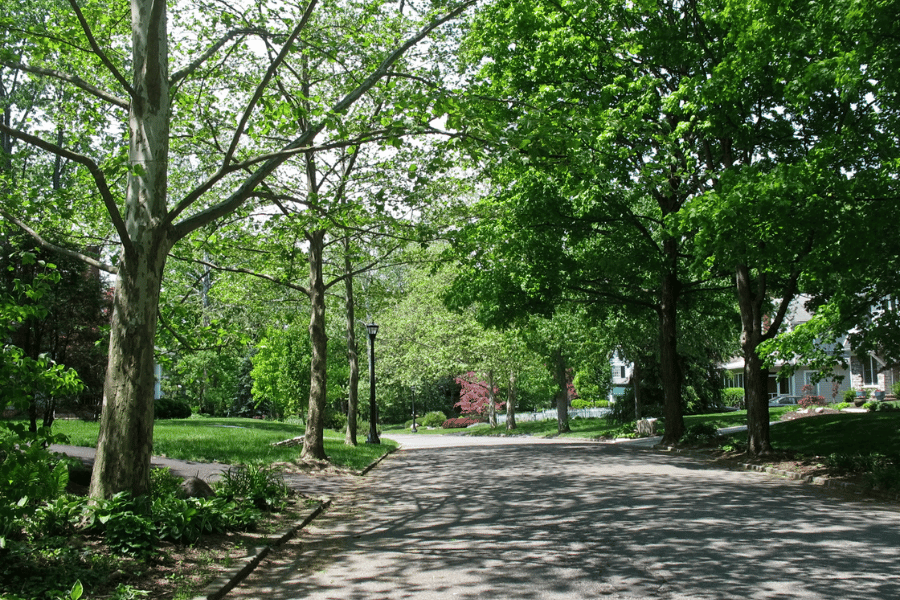 Quiet and shaded street in Columbus, Ohio, with green trees