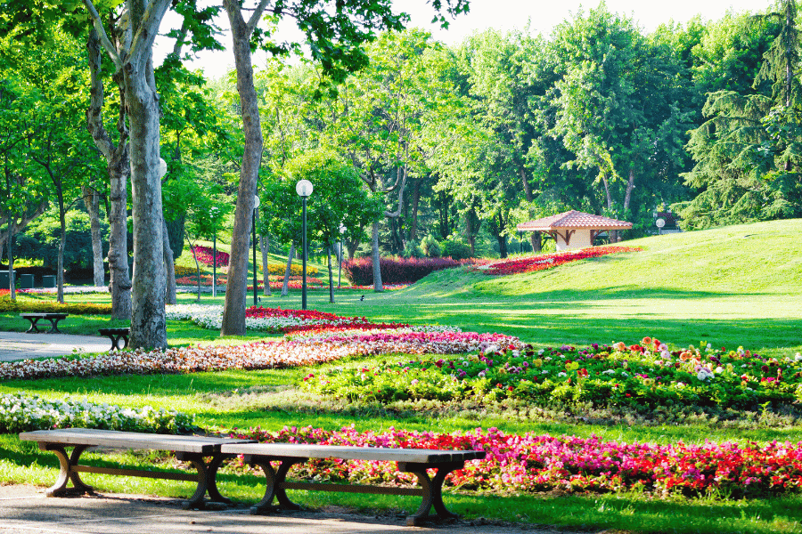 botanical gardens, park, flowers, trees