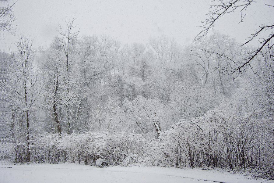 snow storm in Newton, MA 