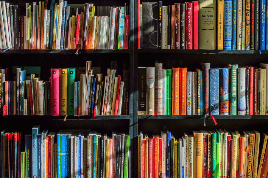 books in black bookcases 