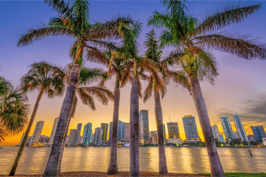 Enjoy amazing views and even better meals in downtown Miami
