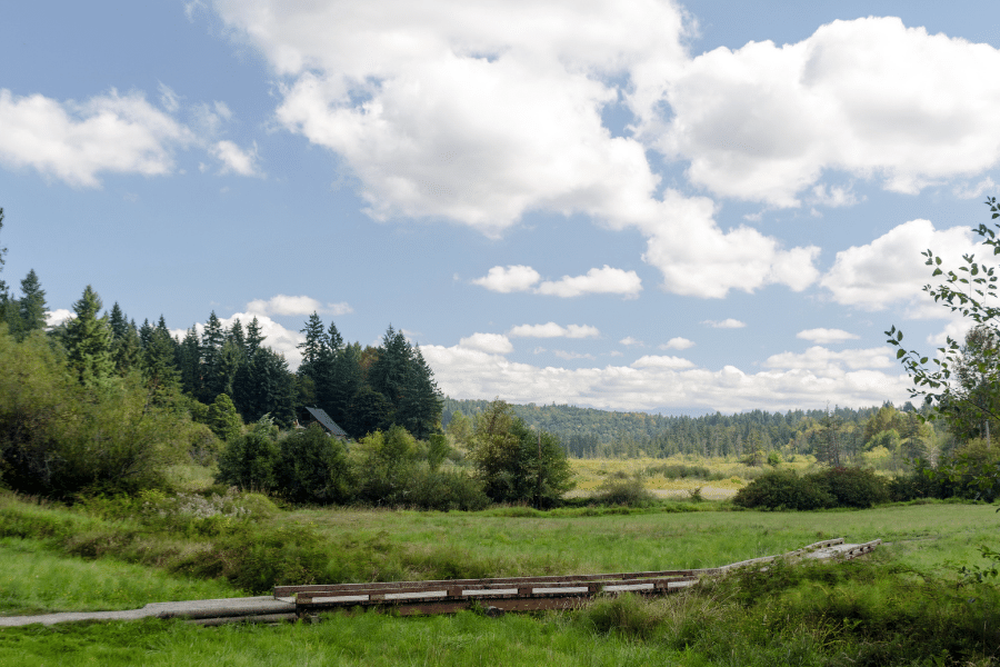 Evans Creek Preserve on a sunny day with green trees and a walking bridge