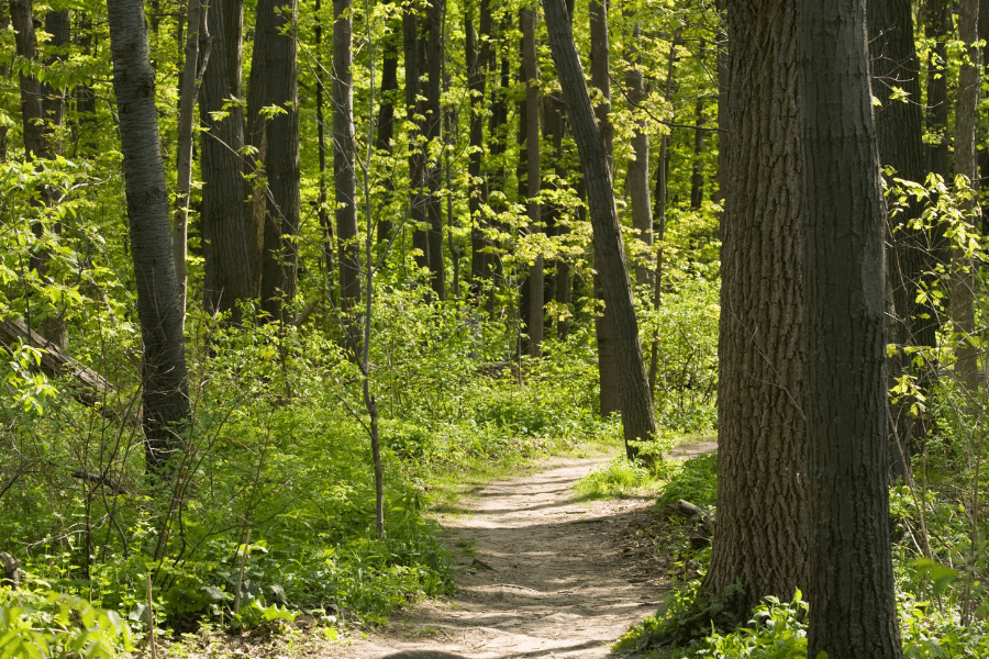 Nature trails in the city of Greensboro NC