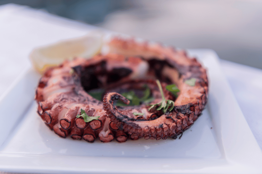 Cooked Octopus on a white plate with lemon