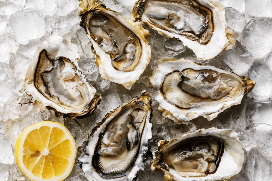 Raw oysters on ice with lemon slice 