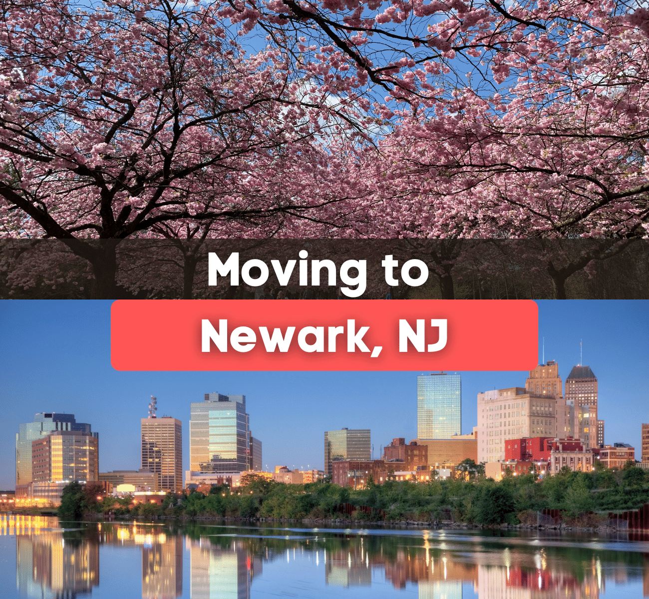 Newark, NJ skyline and cherry blossom trees in bloom