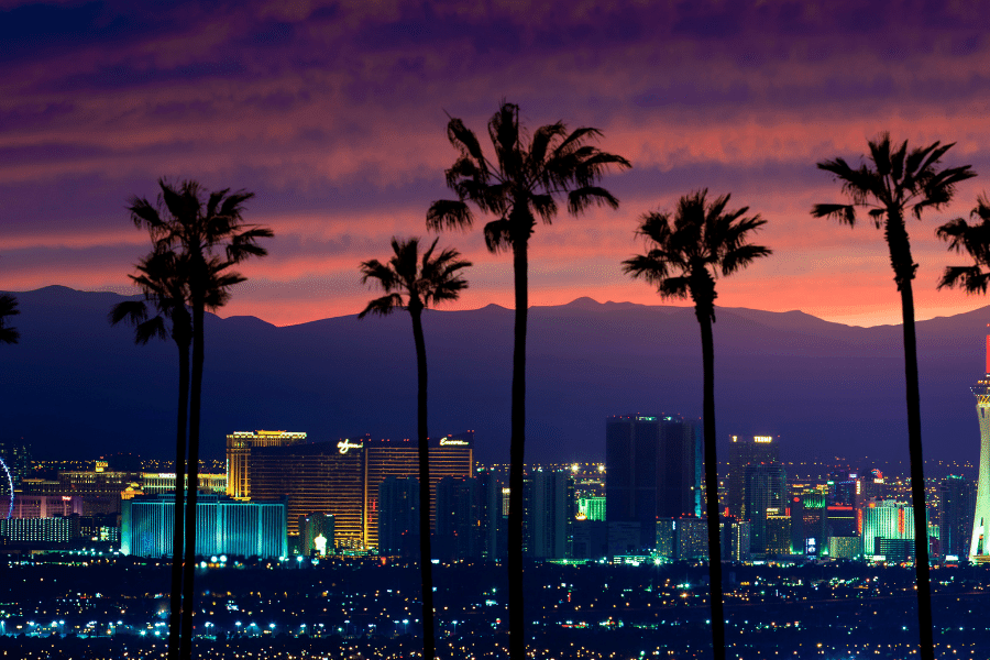 The Las Vegas Strip at night with palm trees in the foreground