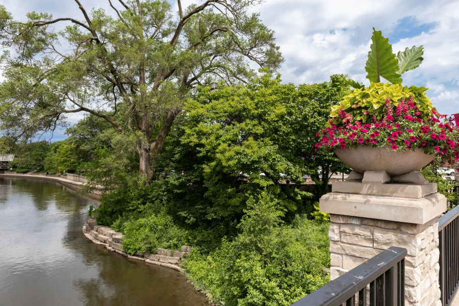 Naperville, IL Riverwalk near the river with beautiful plants and greenery