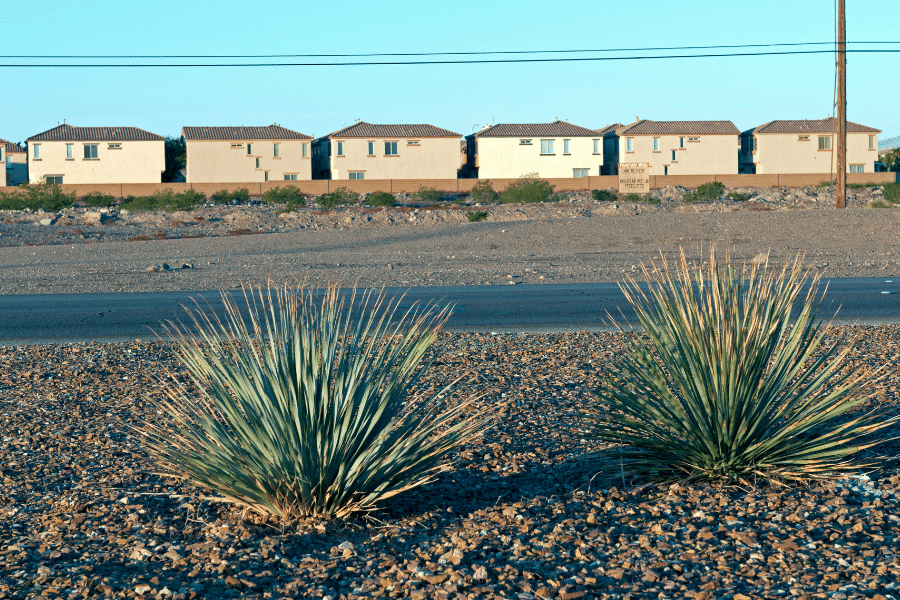 Street view of a Henderson, NV neighborhood with cacti in the foreground