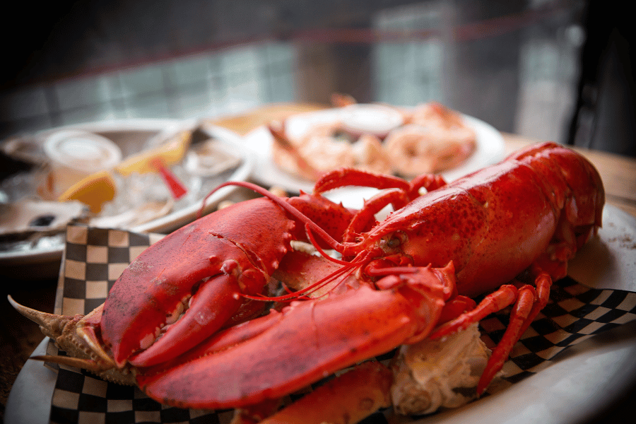 New England seafood with lobster and shrimp on plates