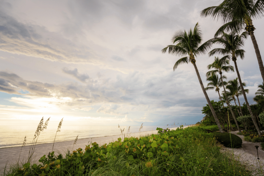 Naples, FL Beach bright yellow sunrise with palm trees 