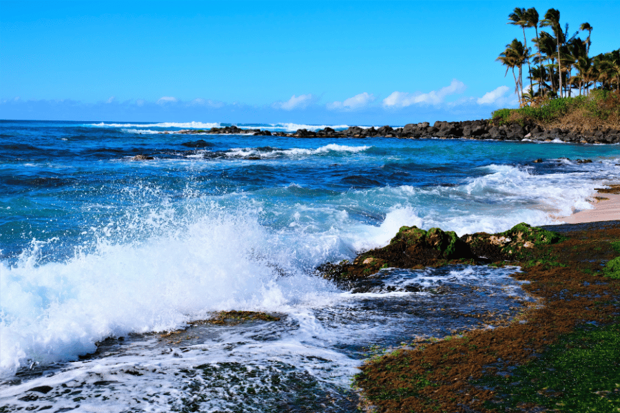 Big waves on the beach in Haleiwa, HI