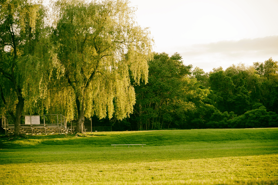 Cold Spring Park in Newton, MA 