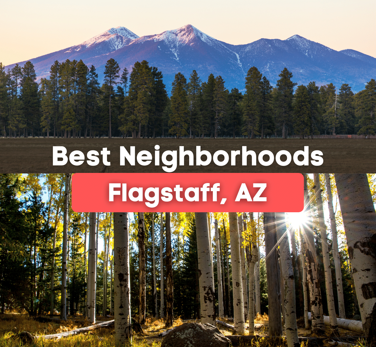 Best neighborhoods in Flagstaff, AZ - mountain and pine trees