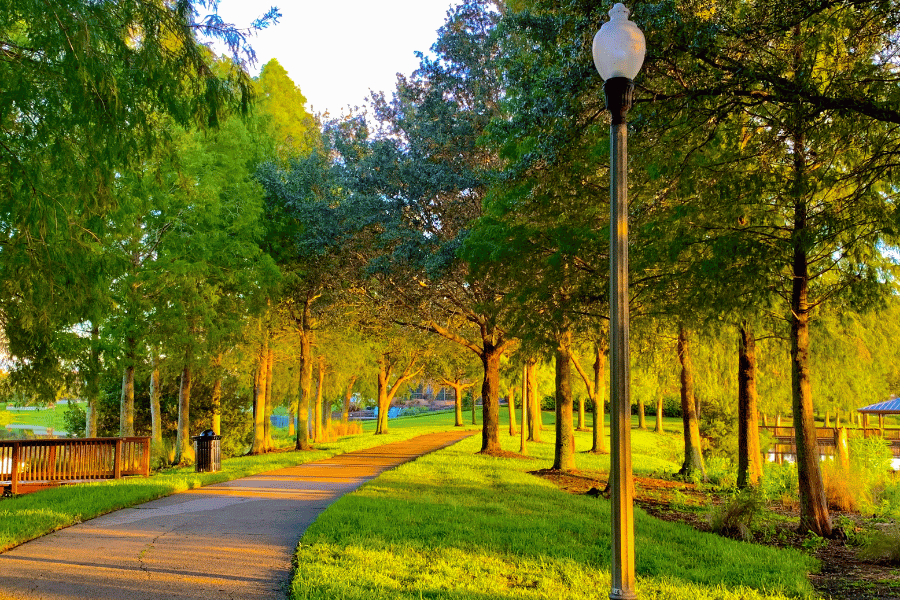Park walk during sunset