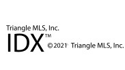 Triangle MLS Logo