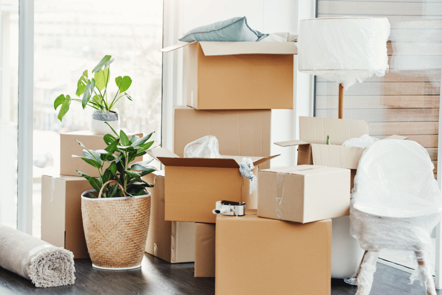 Where are People Moving to in 2024?