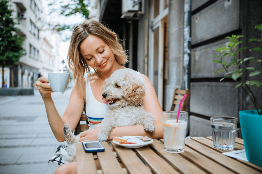 10 Most Dog-Friendly Cities in North Carolina