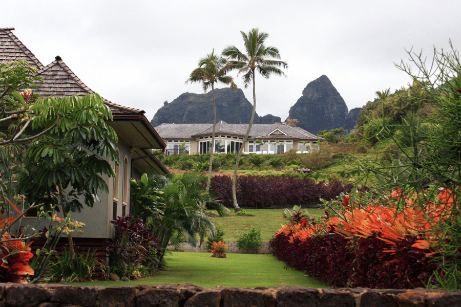 Beautiful luxury home in Honolulu surrounded by palm trees and lush greenery
