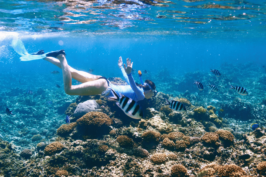 Snorkeling snorkeling with fish coral ocean