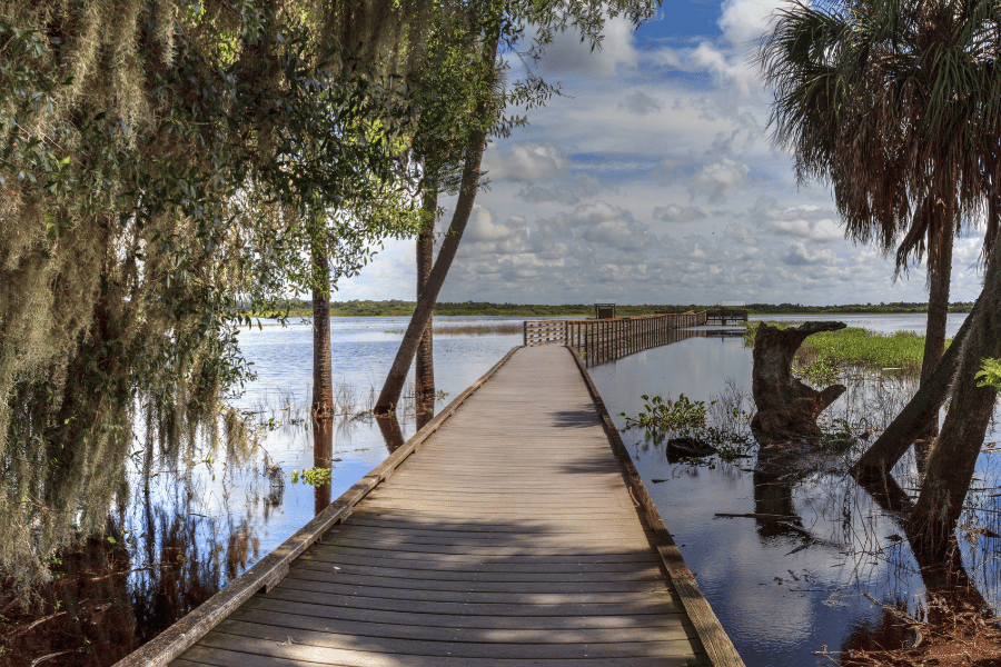 Myakka River State Park Sarasota Florida bridge
