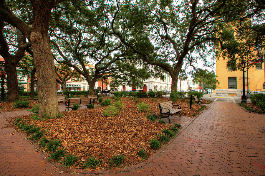 Beautiful historic square in Marietta, GA Discover all the fun things to do in the beautiful historic square in Marietta, GA