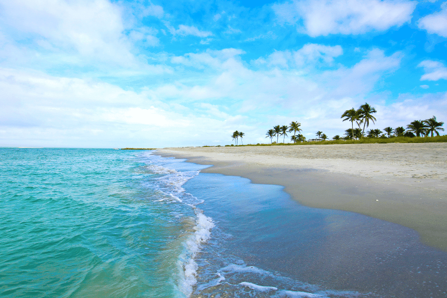 James Lee Beach in Destin, Florida, with palm trees and white sand