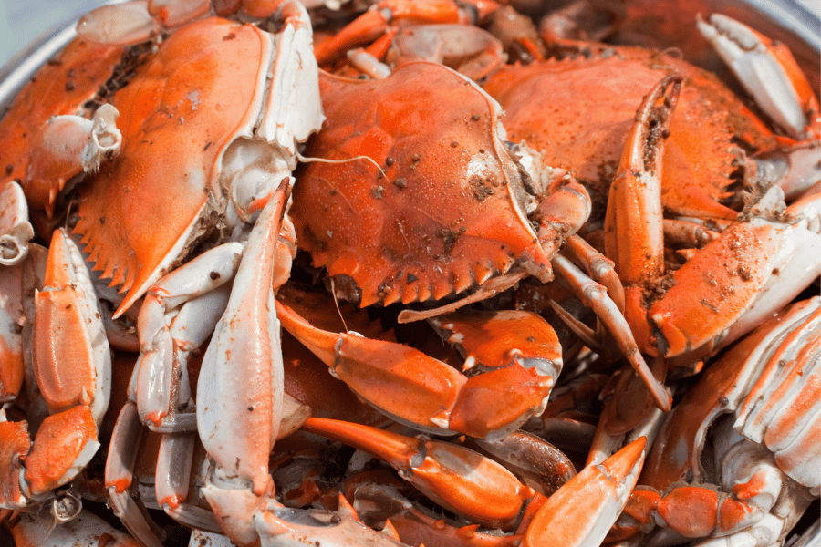 Blue Crab dish