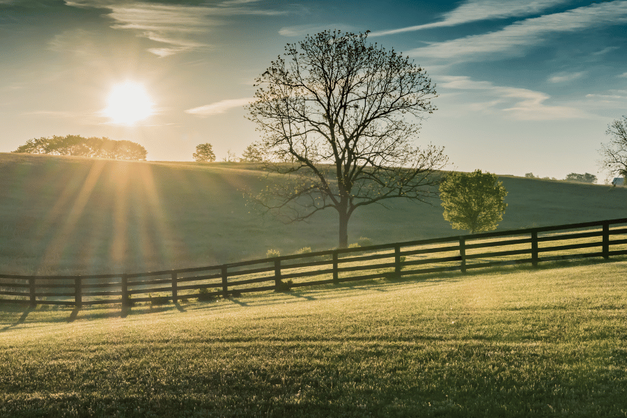 views-during-sunset-bowling-green-ky-2.png Bowling Green views of grass during sunset