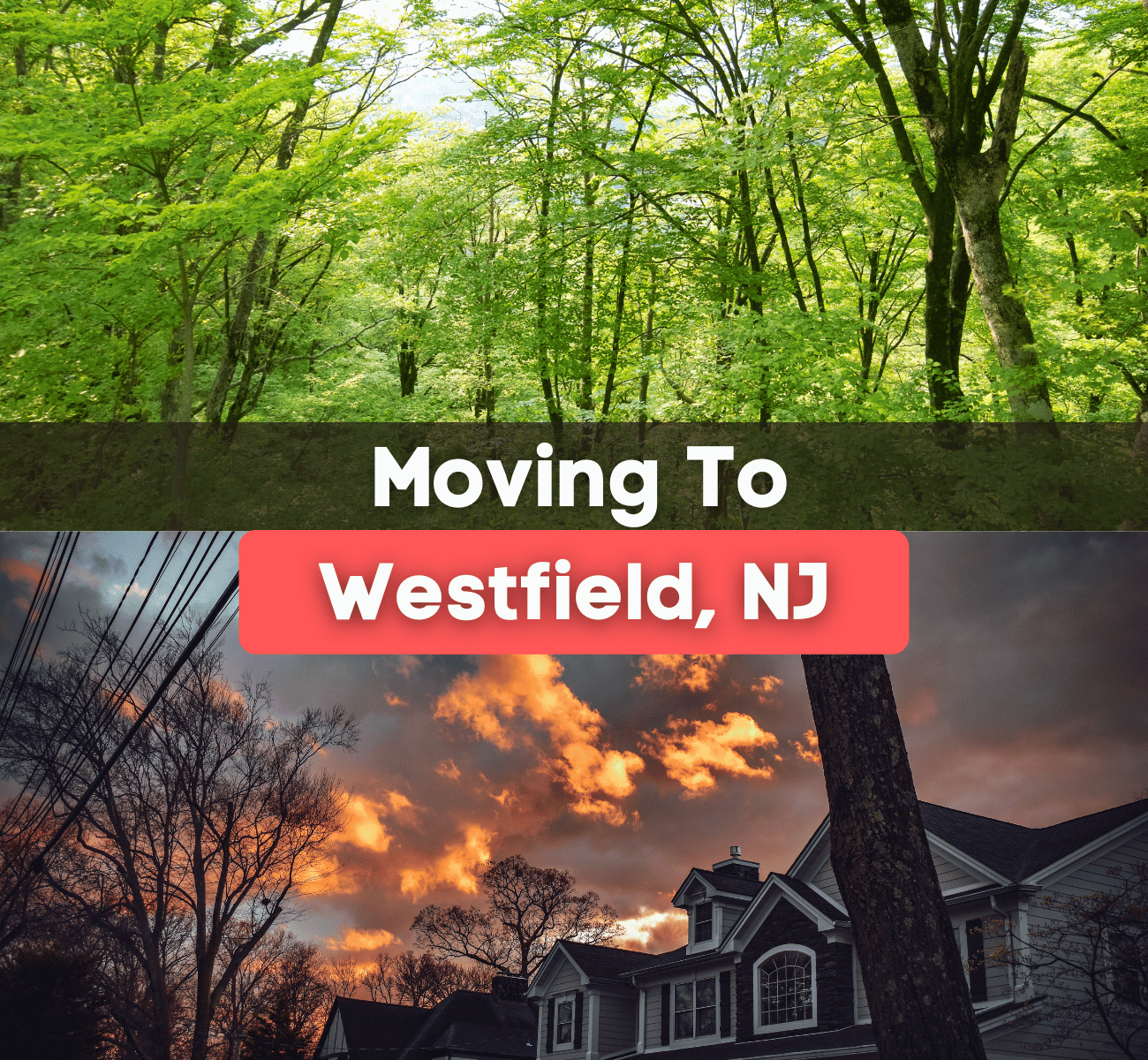 moving-to-westfield-nj.png moving to Westfield, NJ graphic with wooded area and sunset sky