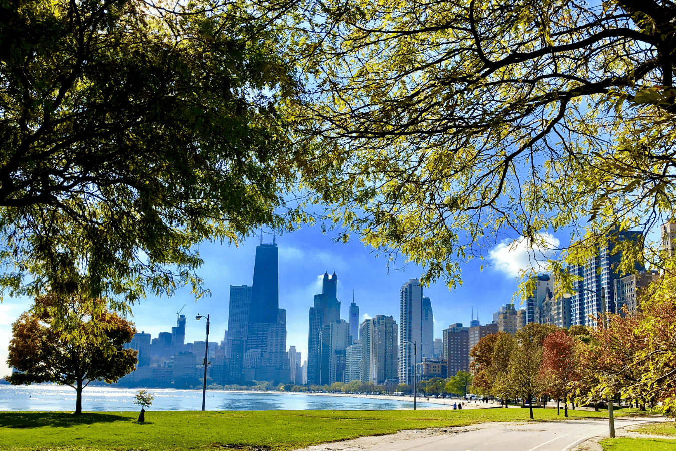 Chicago-Illinois copy.png Park in Chicago Illinois