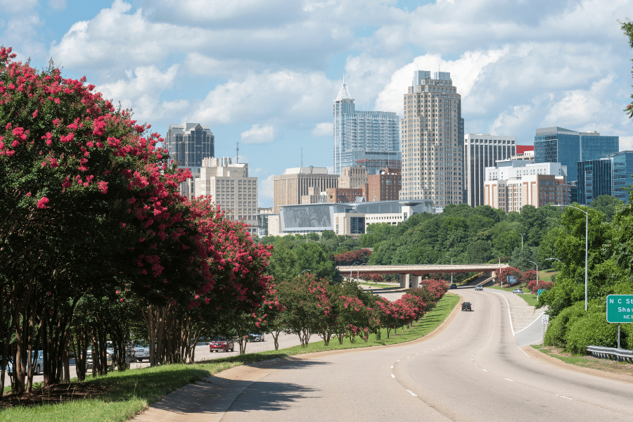Raleigh, NC Raleigh, NC skyline in the summer when the trees are in bloom