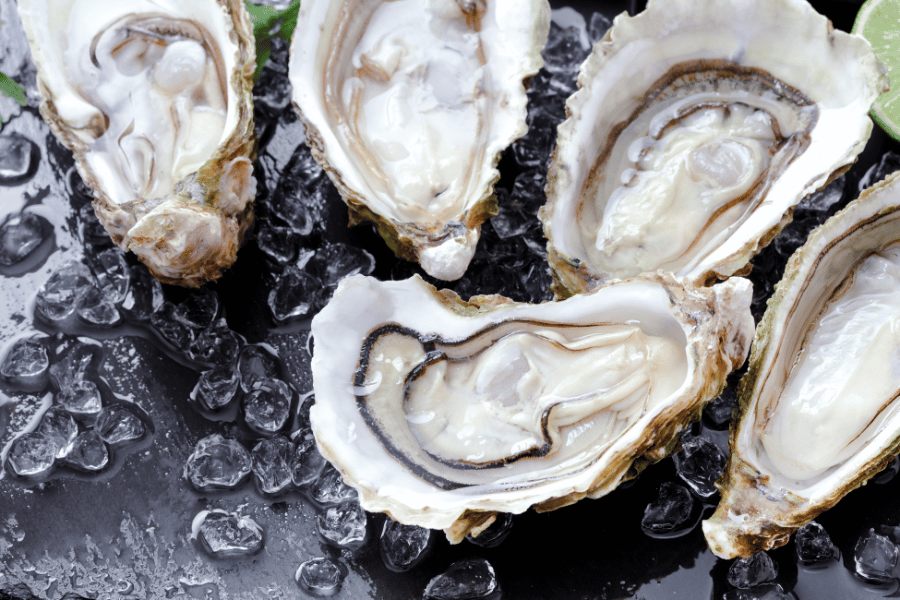 Oysters raw oysters on ice