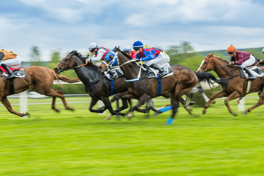 Kentucky Derby horses 