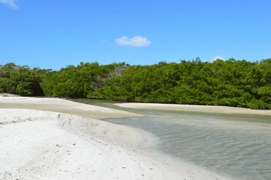 Lovers Key State Park Lovers Key State Park white sand beach
