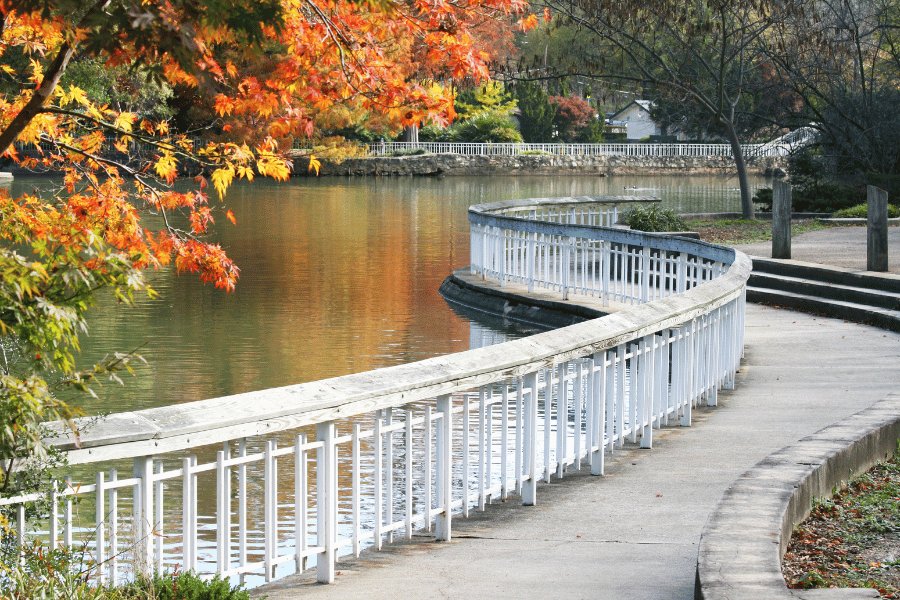 lake-view.png Lake view in the fall