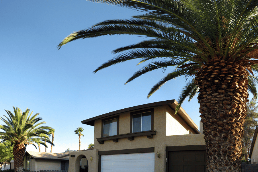 Stunning Las Cruces homes for sale Stunning Las Cruces homes for sale