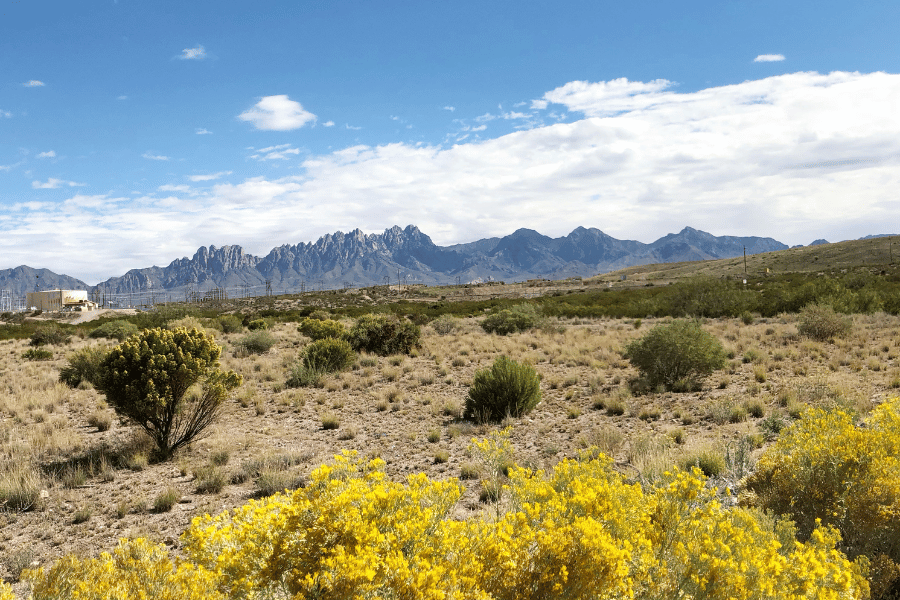 Beautiful scenery across Las Cruces, NM Beautiful scenery across Las Cruces, NM