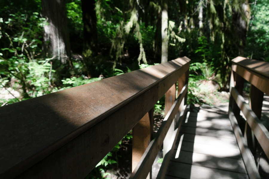 Evans Creek Preserve in Redmond, WA 