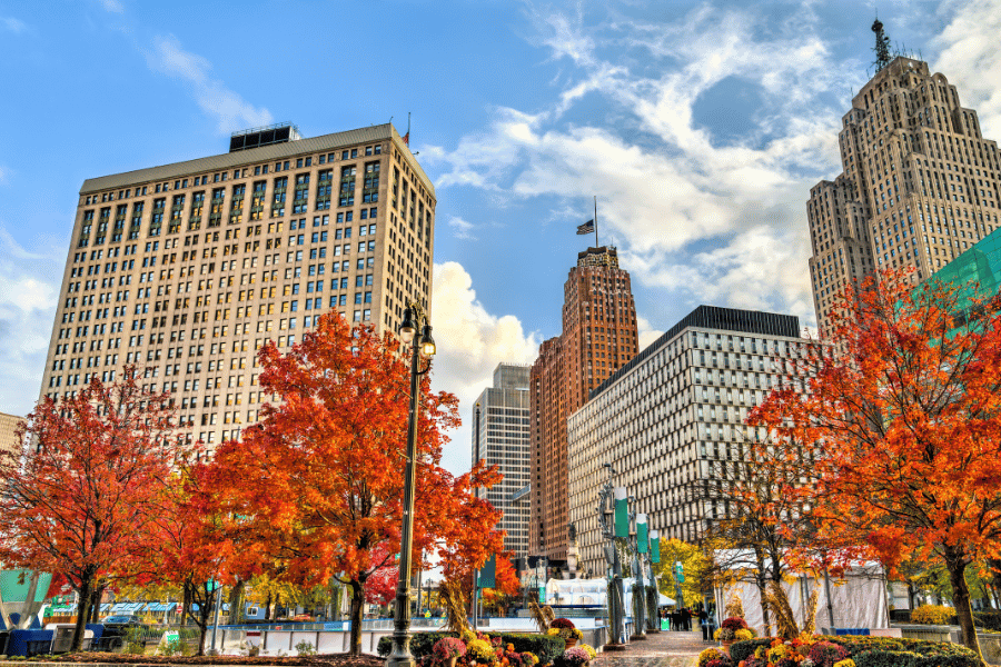 Detroit-mi.png Detroit MI view