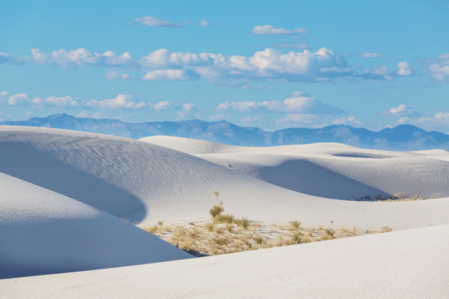 Beautiful sand dunes in New Mexico Experience new National parks here in New Mexico