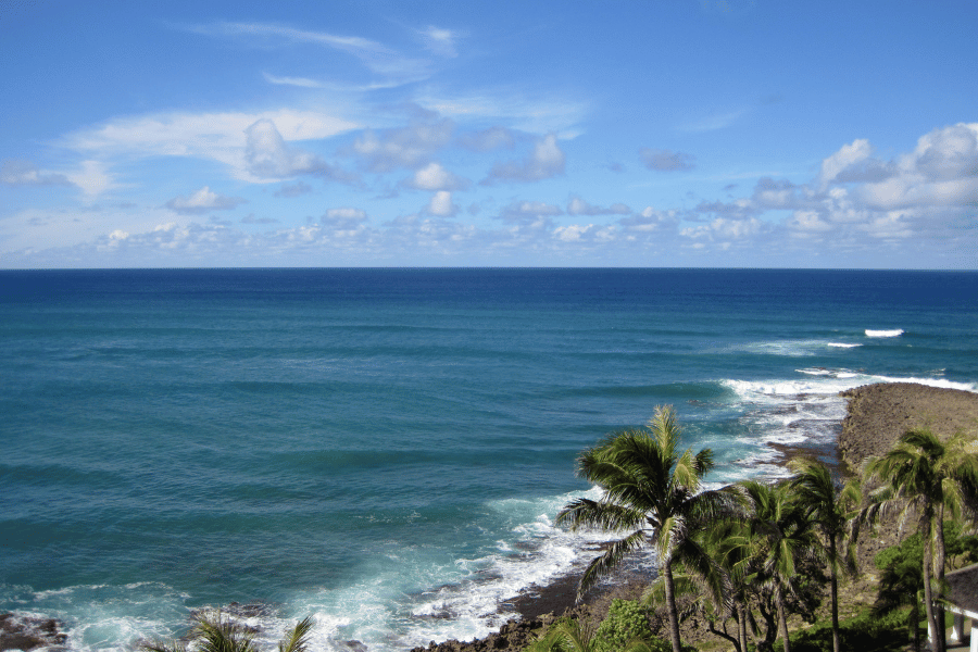 Calm blue water and palm trees in North Shore in Honolulu 