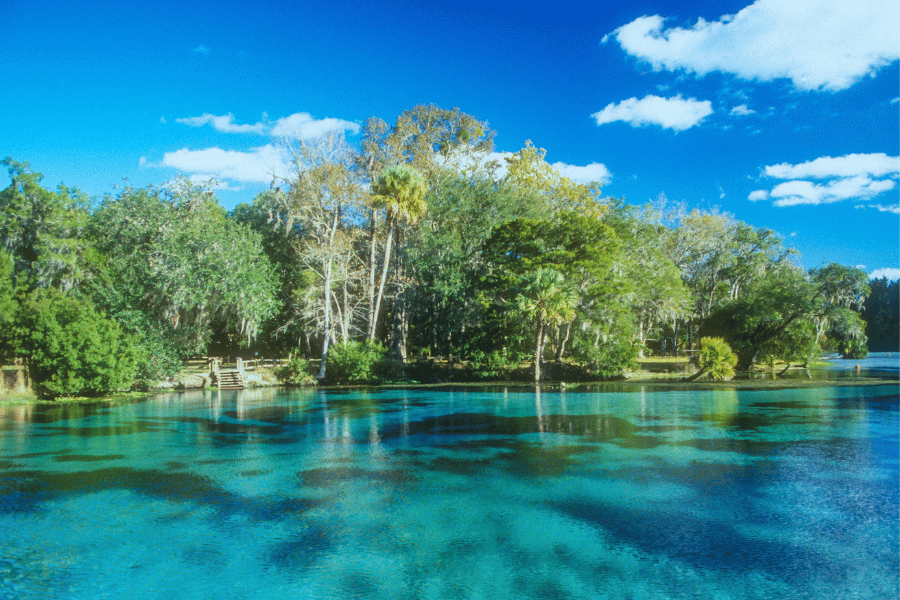 Florida Warm Mineral Spring