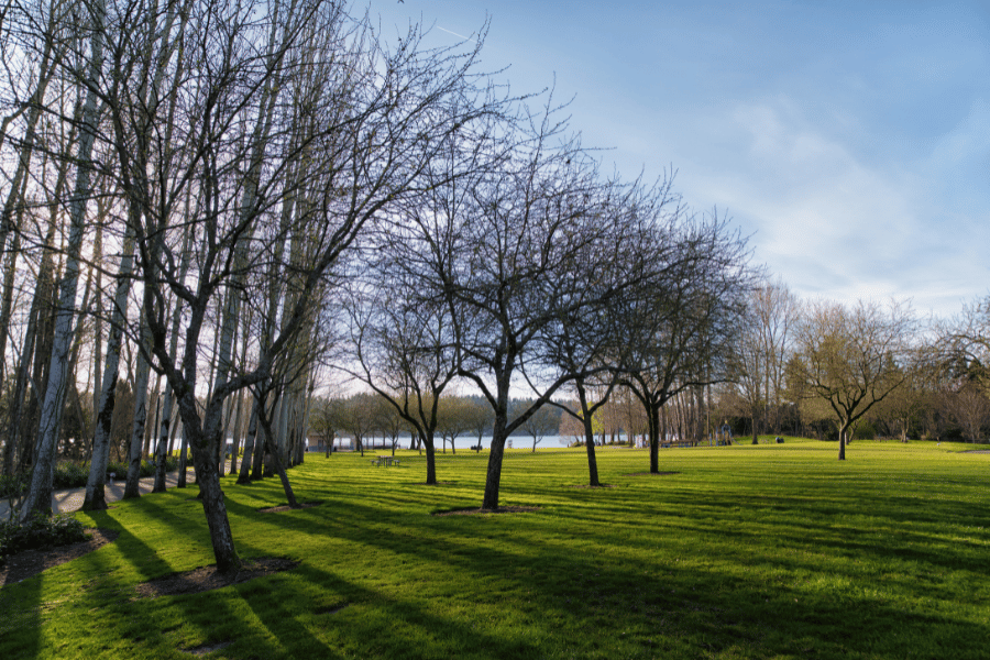 Check out the great hospitals in the Bellevue area Find an abundance of healthcare options in Bellevue, Washington.