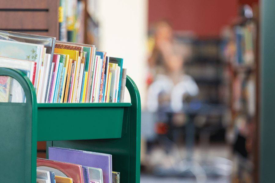 Library in Public School