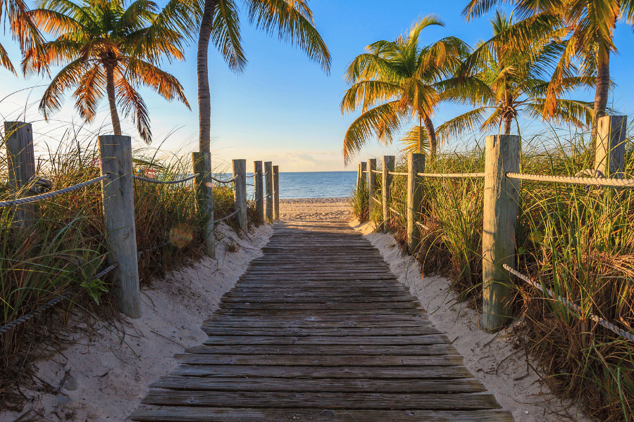Bonita Beach Image of a sandy beach from a boardwalk with palm trees on each side