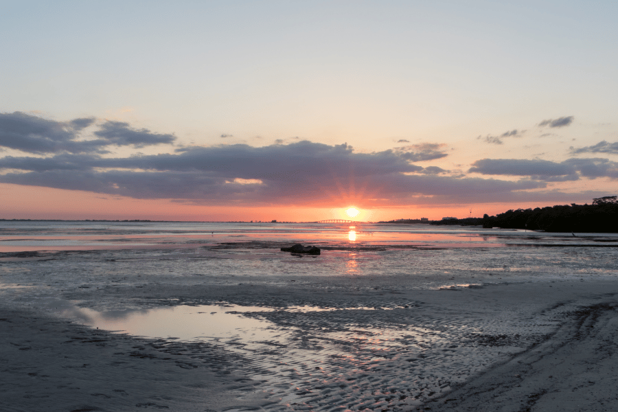 Bunche Beach Preserve Bunche Beach Preserve pink sunset