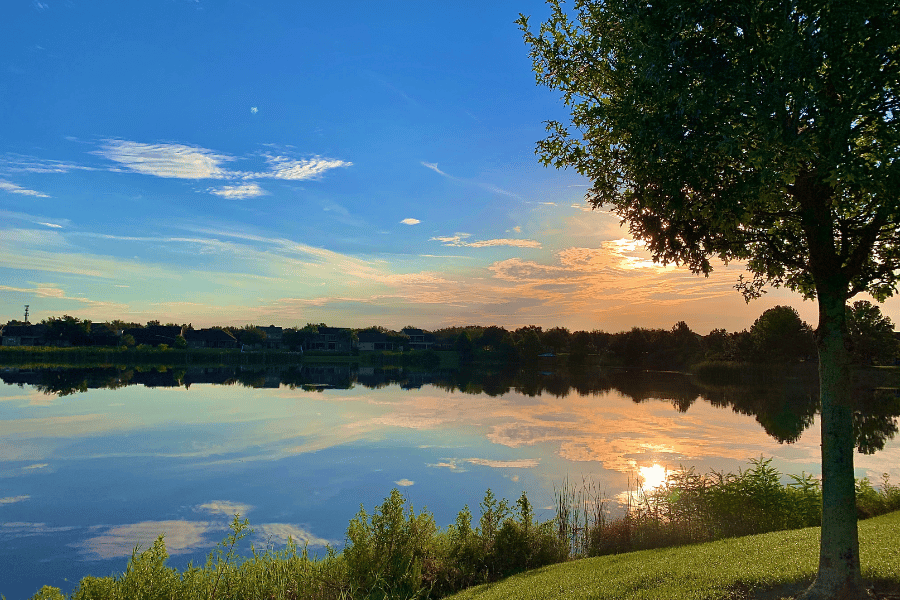 lake florida water trees homes sunrise