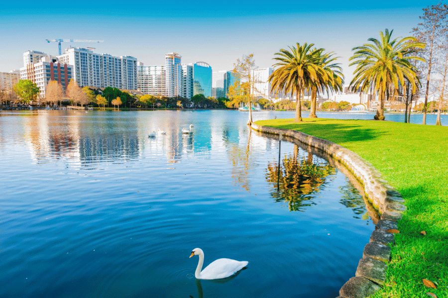 orlando, fl downtown lake swan daytime
